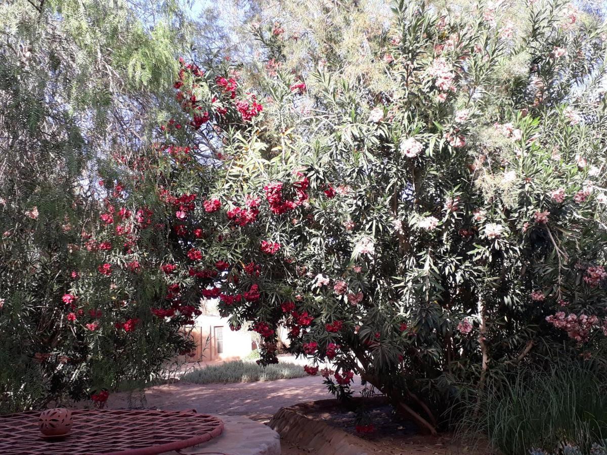 Dar Paru M'Hamid Exterior foto