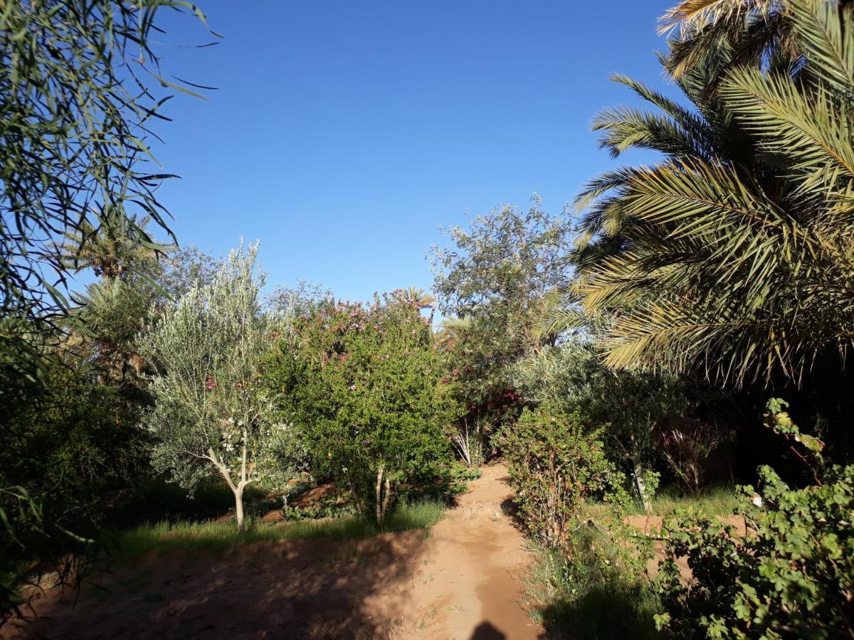 Dar Paru M'Hamid Exterior foto