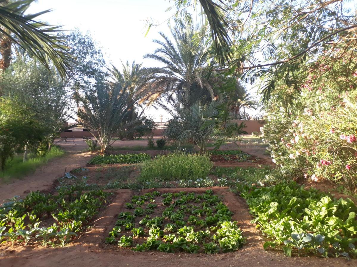 Dar Paru M'Hamid Exterior foto