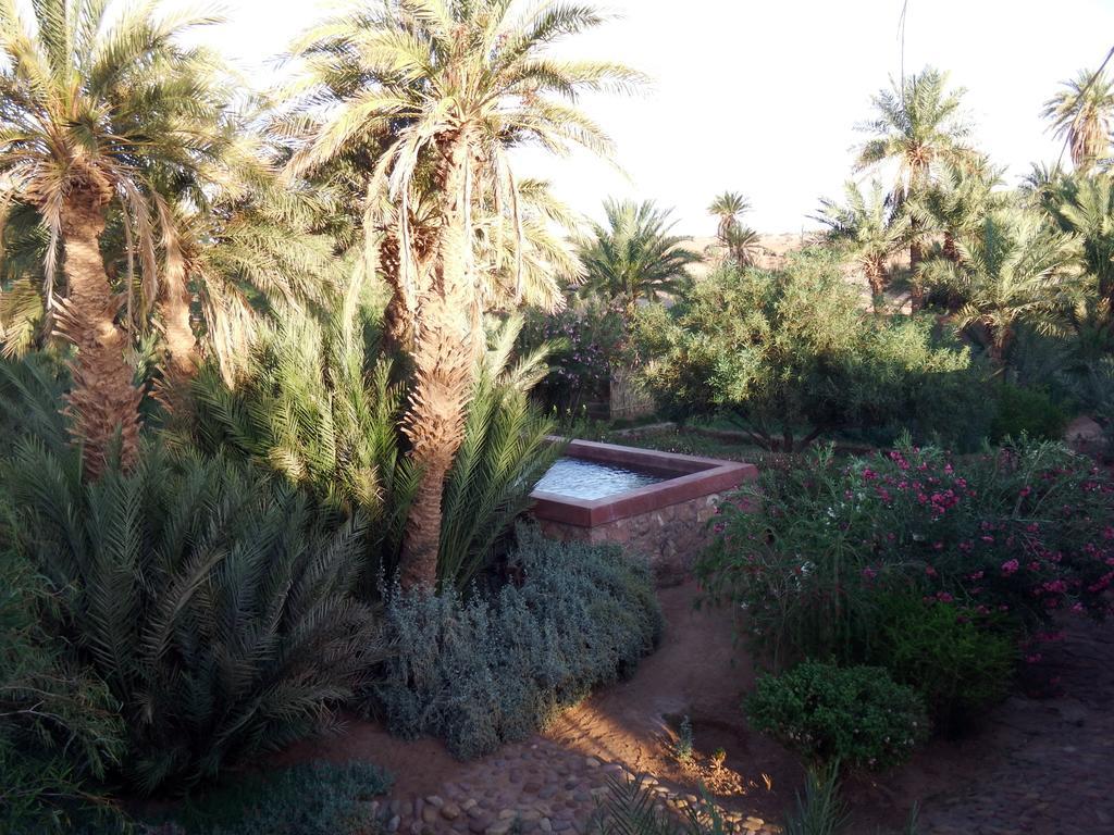 Dar Paru M'Hamid Exterior foto