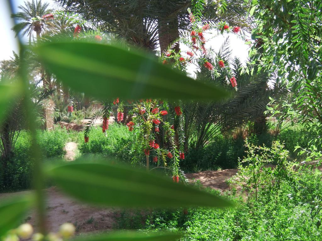 Dar Paru M'Hamid Exterior foto