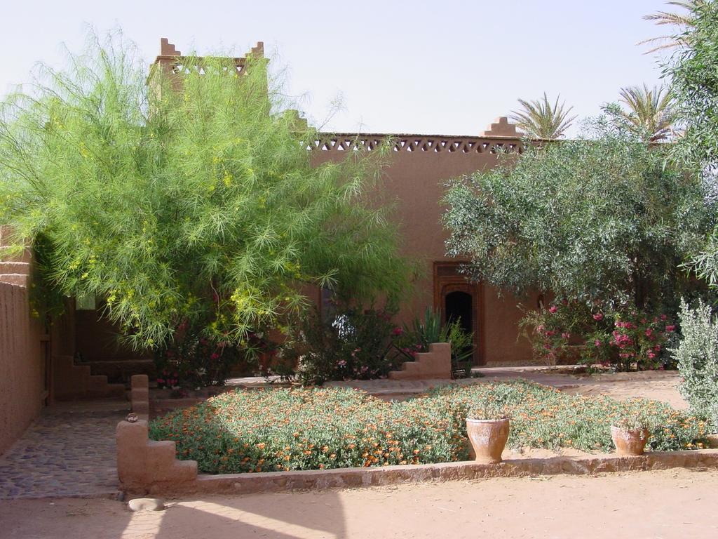 Dar Paru M'Hamid Exterior foto