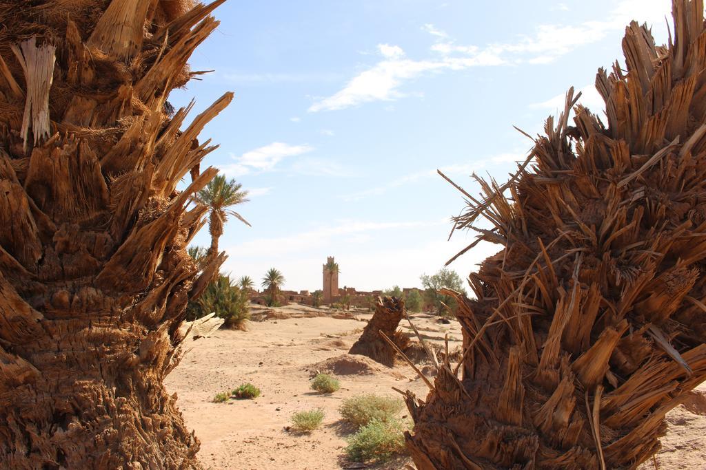 Dar Paru M'Hamid Exterior foto