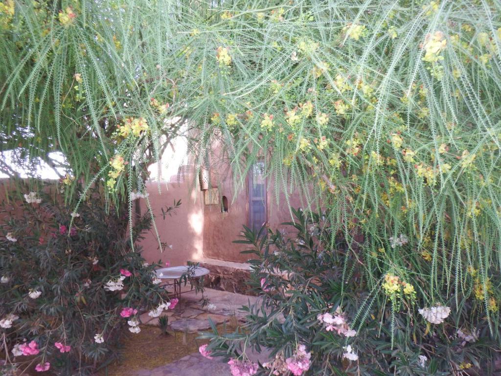 Dar Paru M'Hamid Quarto foto