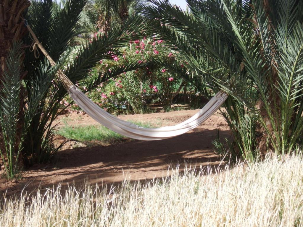 Dar Paru M'Hamid Exterior foto
