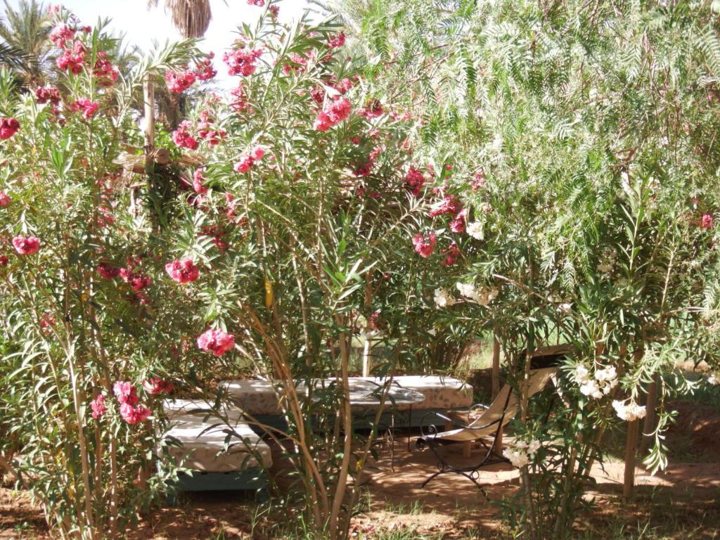 Dar Paru M'Hamid Exterior foto
