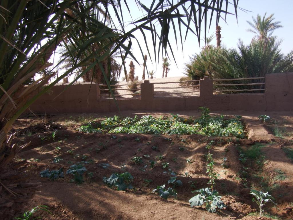 Dar Paru M'Hamid Exterior foto