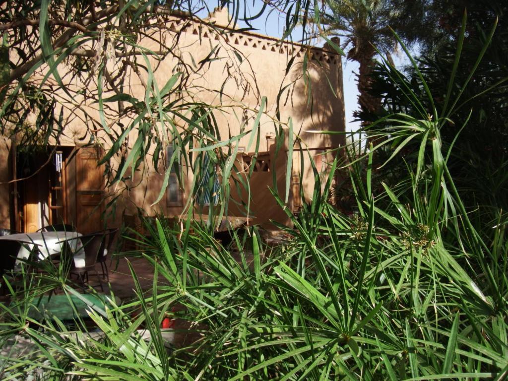 Dar Paru M'Hamid Exterior foto